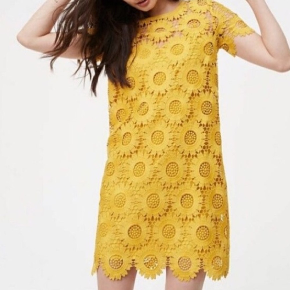 NWOT LOFT Crochet Dress